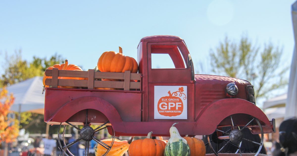 Elk Grove Giant Pumpkin Festival Explore Elk Grove